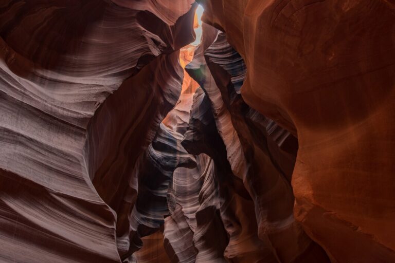 Wire Pass to Buckskin Gulch: Exploring Utah’s Longest Slot Canyon