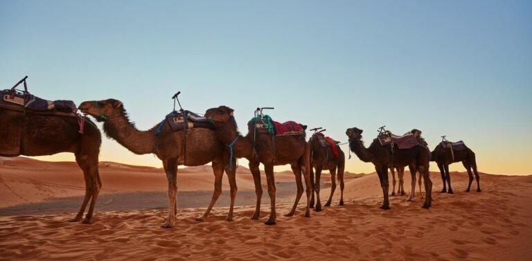 10-Day Morocco Itinerary: Marrakesh, Fes, Sahara & Toubkal